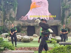 -新加坡飞禽公园