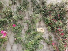 -重庆园博园