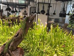 -北京植物园-展览温室