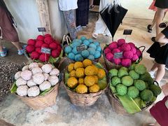 -大象粑粑造纸公园