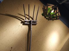 -土著渔匠·养生蝴蝶鱼(香樟路店)