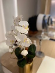 -AURAS璈然科技护肤中心