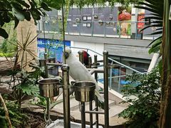 -洛阳龙门海洋馆