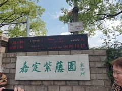 -嘉定紫藤园