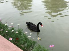 -长兴太湖图影湿地文化园