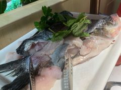深水花鲢鱼-蜀滋香鲜鱼美蛙火锅(339店)