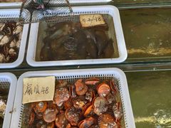 -红月湾海鲜饭店•沙滩海景(双月湾店)