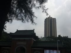 -中山大学附属肿瘤医院体检中心
