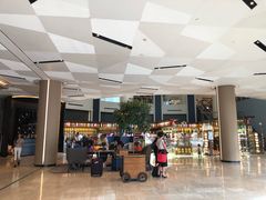 -新加坡瑞士史丹福酒店