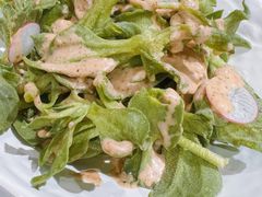 北极冰草沙拉-玉林烤鸭店(定福庄店)