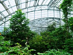 -南山植物园
