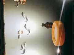 -秋语木桶鱼.酸菜鱼(开发区火车站店)