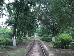 -永定河休闲森林公园