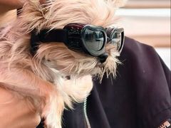 -小意思咖啡店(草桥店)