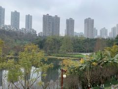 -重庆彩云湖湿地公园