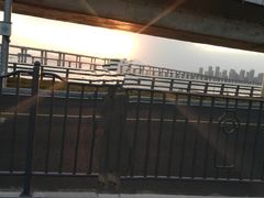 -海堤纪念公园