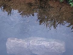 -桃花岭景区