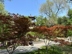 -莲花池公园