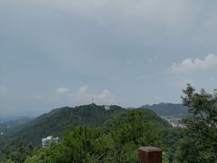 -南山植物园