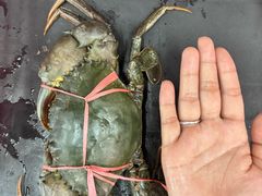 -养牛邓·潮汕牛肉海鲜自助火锅(广州店)