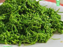 -绿草墩