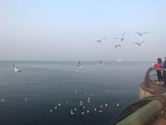 -东港音乐喷泉广场