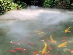 -故乡缘·香格里拉山庄(冷竹路店)