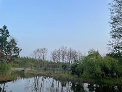 -东平国家森林公园