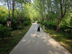 -西部长青自然儿童乐园