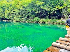 -石台牯牛降景区