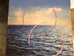 -百姓百味海鲜酒楼(粤垦路总店)