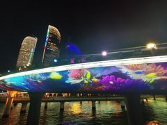 -演武大桥观景平台