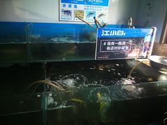 水产区-大鹅岛灶台鱼·铁锅炖(水库路店)