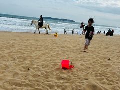 -三亚海棠湾喜来登度假酒店