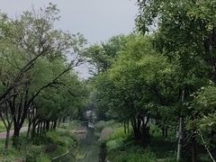 -北坞公园