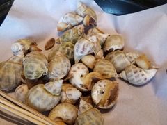 花螺-顺德了能馆(虎门店)