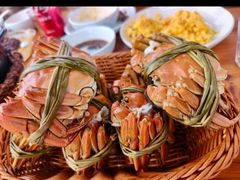 -蟹天蟹地农家菜·阳澄湖大闸蟹(浅水湾店)