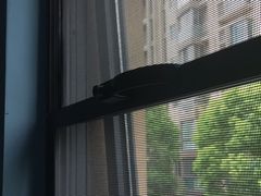 -富轩全屋门窗(浦江红星美凯龙店)