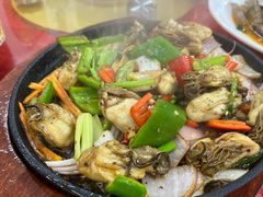 -隆都四季香饭店(碧海路店)