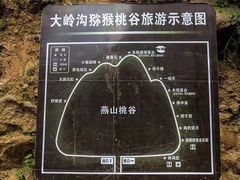 -大岭沟猕猴桃谷风景区