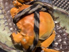 -菊上料理(蜀山银泰百货店)