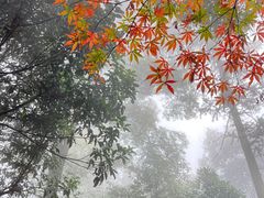 -青城山