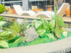 -温都水城·水梦奇缘