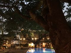 -喜洲吧·江畔老船厂·庭院餐厅(喜临院店)
