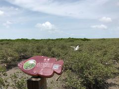 -北海金海湾红树林生态旅游区