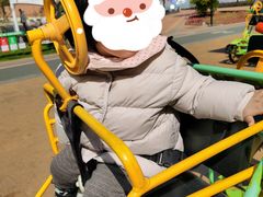 -野狸岛