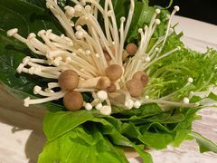 -汤城·料青山