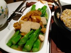 泉水黄耳竹笙浸有机菜心-五号茶居·新派粤菜·岭南五号酒店(沿江中路店)