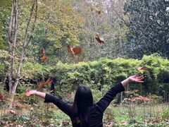 -共青国家森林公园-售票处