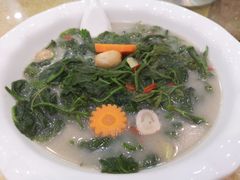 高汤浸桑芽-九大簋家宴(北京路店)